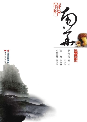 文化楚雄——南华