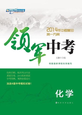 领军中考——化学