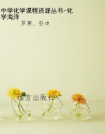 中学化学课程资源丛书