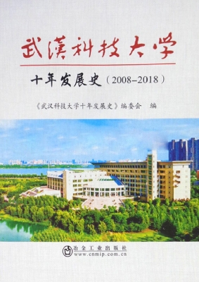 武汉科技大学十年发展