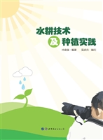 水耕技术及种植实践
