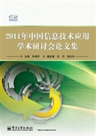 2011年中国信息技术应