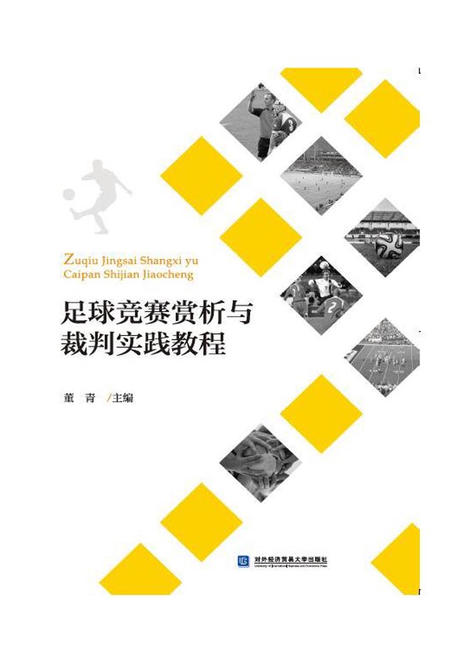 足球竞赛赏析与裁判实