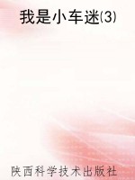 我是小车迷⑶