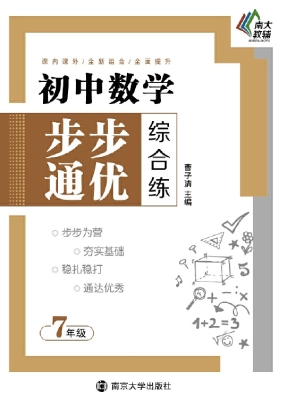 初中数学步步通优综合