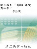 同步练习 升级版 语文