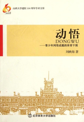 动悟——青少年网络成