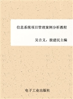 信息系统项目管理案例