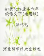 A+优化作业本六年级语
