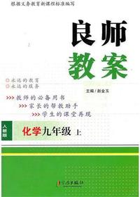 良师教案·化学九年级