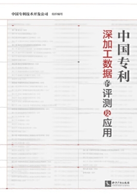 中国专利深加工数据的
