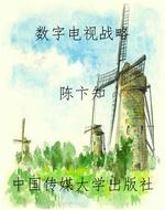 数字电视战略