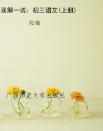 双解一试：初三语文(上