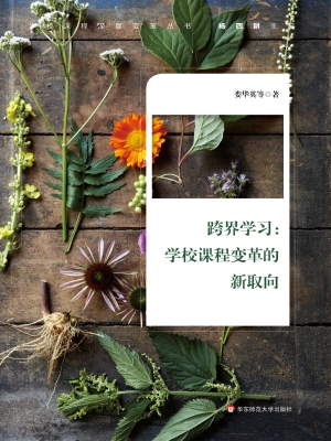 跨界学习：学校课程变革