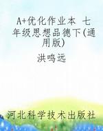 A+优化作业本 七年级