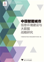 中国智能城市信息环境