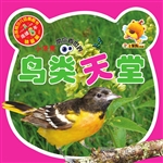 小笨熊带你看世界——