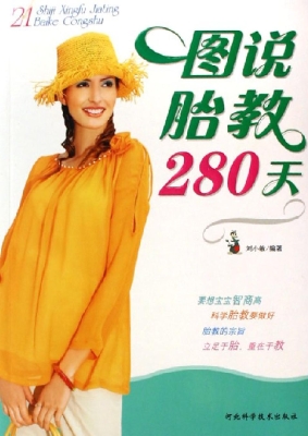 图说胎教280天
