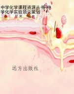 中学化学课程资源丛书