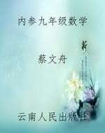 内参九年级数学