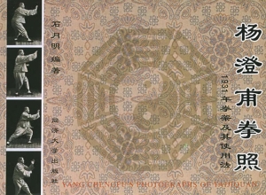 杨澄甫拳照——1931年
