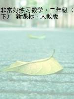 非常好练习数学·二年