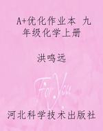 A+优化作业本 九年级