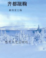 齐都蹴鞠