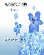 组词造句小词典