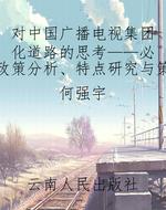 对中国广播电视集团化