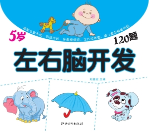 左右脑开发120题（5岁）