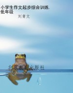 小学生作文起步综合训
