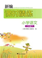 新编课时精练——小学