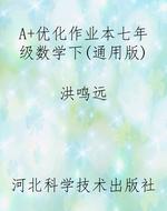 A+优化作业本七年级数