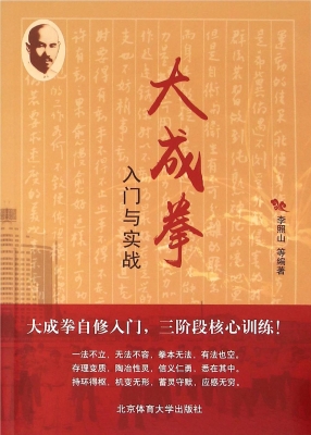 大成拳入门与实战
