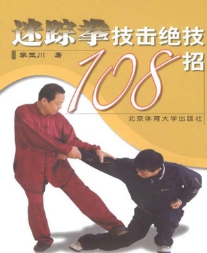 迷踪拳技击绝技108招