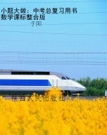 小题大做：中考总复习用