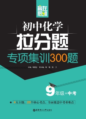 赢在思维——初中化学