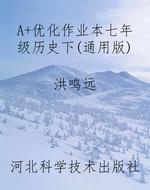 A+优化作业本七年级历