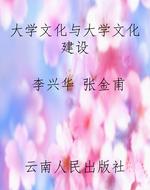 大学文化与大学文化建