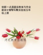 创新一点通星级教案与
