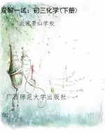 双解一试：初三化学(下
