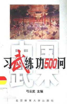中国武术：习武练功500