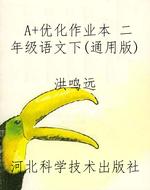 A+优化作业本 二年级