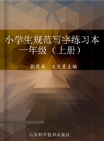 小学生规范写字练习本