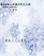 最新5年小考满分作文