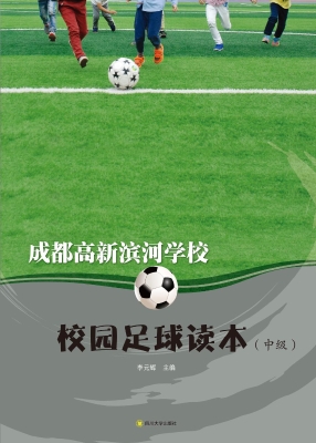 成都高新滨河学校校园