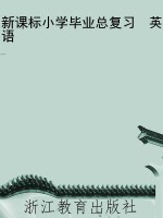 新课标小学毕业总复习