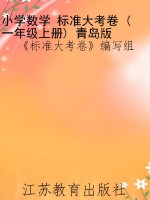 小学数学 标准大考卷 
