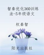智秦优化360训练法-5